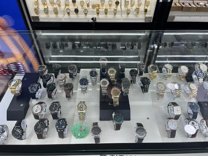 TITAN GEN4 WATCHES